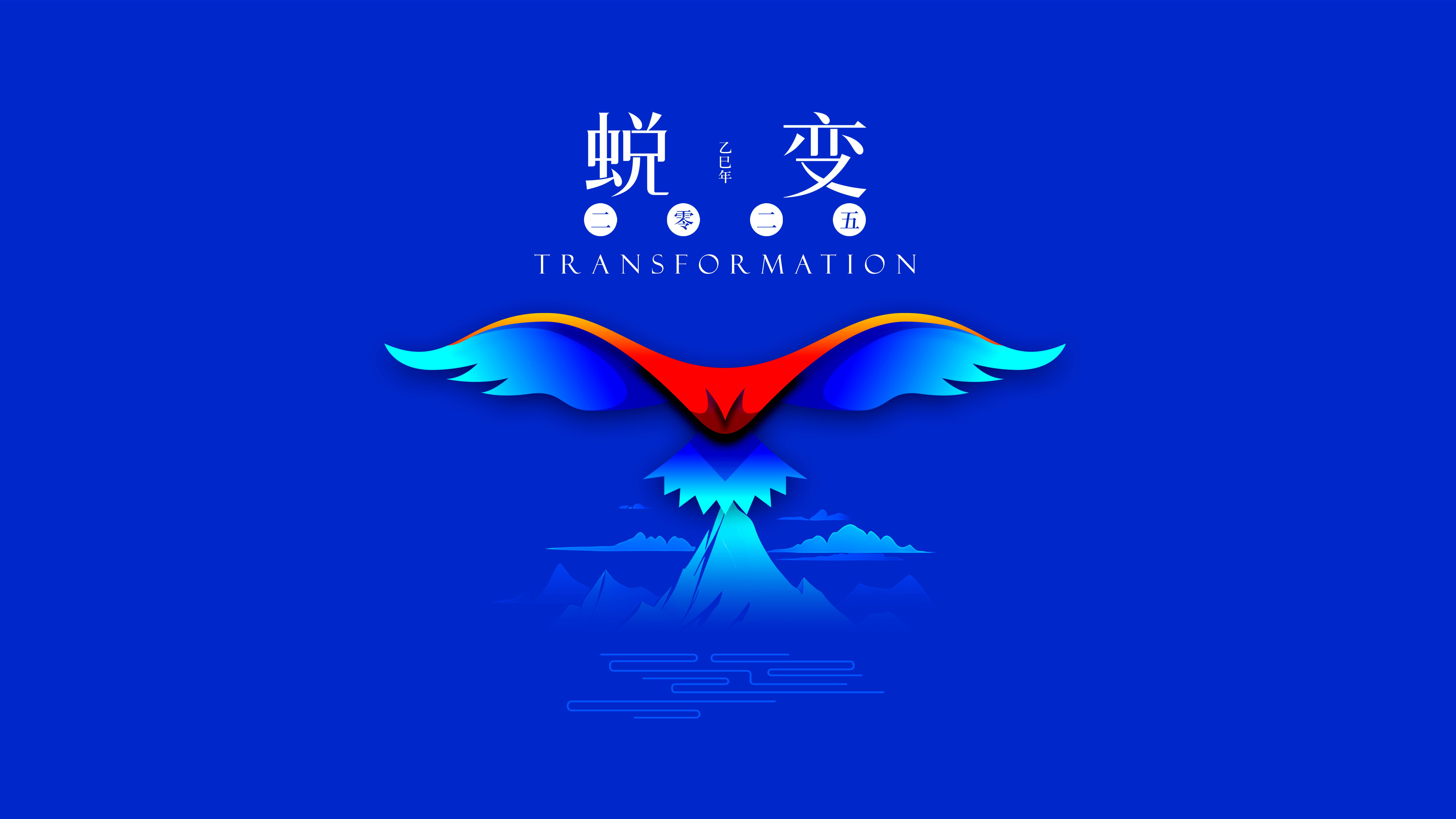 我與海星的2024，期待2025年與您一起續(xù)寫(xiě)美好篇章